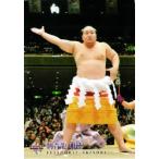 BBM 大相撲カード 2010 レギュラー 【連続写真＆手形パズル 朝青龍】85 朝青龍 明徳