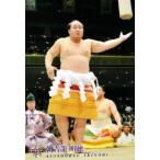 BBM 大相撲カード 2010 レギュラー 【連続写真＆手形パズル 朝青龍】86 朝青龍 明徳