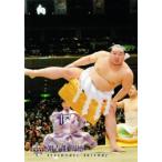 BBM 大相撲カード 2010 レギュラー 【連続写真＆手形パズル 朝青龍】87 朝青龍 明徳