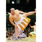 BBM 大相撲カード 2010 レギュラー 【連続写真＆手形パズル 朝青龍】89 朝青龍 明徳