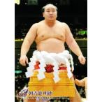 BBM 大相撲カード 2010 レギュラー 【連続写真＆手形パズル 朝青龍】90 朝青龍 明徳
