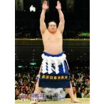 BBM 大相撲カード 2010 レギュラー 【連続写真＆手形パズル 白鵬】92 白鵬 翔