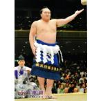 BBM 大相撲カード 2010 レギュラー 【連続写真＆手形パズル 白鵬】95 白鵬 翔