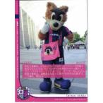 J�J�[�hTE�������r���A �Z���b�\��� 2011 ���M�����[ CO11 ���r�[���}�_���E���r�[�i