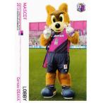 J�J�[�h TE�������r���A �Z���b�\��� 2013 ���M�����[ 12 ���r�[���}�_���E���r�[�i