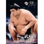 BBM2013 大相撲カードレジェンド 〜GLORY〜 レギュラー 19 大関 武双山 正士