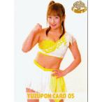 スターダム 愛川ゆず季 カードセット レギュラー 05 ゆずポン☆コスチューム・カタログ６ 2012年バージョン