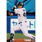 【167 雄平 (東京ヤクルトスワローズ