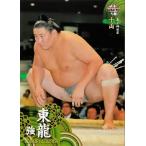 BBM 大相撲カード 2014 レギュラー 45 東龍 強