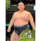 BBM 大相撲カード 2014 レギュラー 61 大道 健二