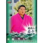 BBM 大相撲カード 2014 レギュラー 【期待の若手】76 遠藤 聖大