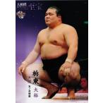 BBM2015 大相撲カードレジェンド「至宝」 レギュラー 18 大関 栃東 大裕