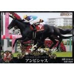 34 【アンビシャス】エポック17 ホー