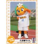 31 【たま媛ちゃん】[クラブ発行]2016 愛媛FC オフィ