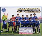 30 【2016ホーム開幕戦】[クラブ発行]2016 水戸ホーリ