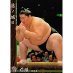 BBM 大相撲カード 2016 レギュラー 12 逸ノ城 駿