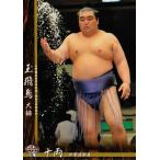 ショッピング大相撲 BBM 大相撲カード 2016 レギュラー 70 玉飛鳥 大輔