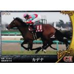 24 【カデナ】エポック ホースレーシン