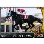 25 【オジュウチョウサン】エポック ホ