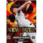 69 【アルバース】BBM オリックス・バファローズ2018 レギュラー [NEW BULL]