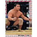 58 【照強 翔輝】BBM2018 大相撲カード レギュラー