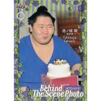 84 【逸ノ城 駿】BBM2018 大相撲カード レギュラー〈オフショット〉