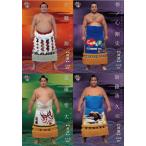 ショッピング大相撲 【レギュラーコンプリートセット/全81種】BBM2018 大相撲カード「Rikishi」