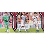 【FC琉球】2019 Jリーグオフィシャルカード [レギュラ