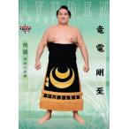 20 【竜電 剛至】BBM 2020 大相撲カード「新」レギュラー