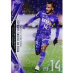 11 �y�G�[�L�G�E�z2021J���[�O�J�[�h TE�������r���A �T���t���b�`�F�L�� ���M�����[�p������