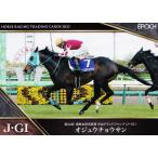 36 【オジュウチョウサン】エポック ホ