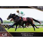 41 【ソウルラッシュ】エポック ホース