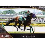 58 【ケイティクレバー】エポック ホー