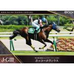 64 【ホッコーメヴィウス】エポック ホ