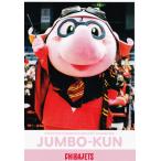 42 �y�W�����{����z2022-23 ��t�W�F�b�c�ӂȂ΂� �I�t�B�V�����J�[�h ���M�����[ [�X�R�b�g�J�[�h]