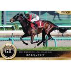 21 【コスモキュランダ】エポック ホー