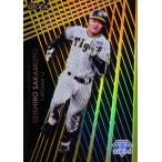 【坂本誠志郎】エポック 2024 阪神タ