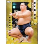 4 【豊昇龍 智勝】BBM2024 大相撲カード レギュラー