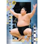 54 【伯桜鵬 哲也(初)】BBM202