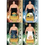 【レギュラーコンプリートセット/全81種】BBM2024 大相撲カード「響」