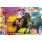 2 【ヴィクトワールピサ】バンダイ 20