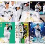 【阪神タイガース】2025 BBM ベースボールカード 1st [チーム別レギュラーコンプリートセット] 全31種 (チェックリスト・CROSS3種含む)