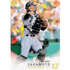 400 【坂本誠志郎/阪神タイガース】2