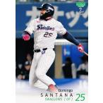 462 【サンタナ/東京ヤクルトスワロー