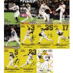 【福岡ソフトバンクホークス】カルビー 2025 プロ野球