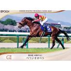 34 【ベラジオオペラ】エポック ホース