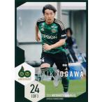 19 【小川大貴】[クラブ発行]2025 松本山雅FC オフィ