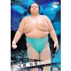 ショッピング大相撲 2 【琴櫻 将傑】BBM2025 大相撲カード レギュラー