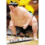 ショッピング大相撲 32 【佐田の海 貴士】BBM2025 大相撲カード レギュラー