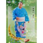 ショッピング大相撲 5 【王鵬 幸之介】BBM2025 大相撲カード「和」レギュラーパラレル